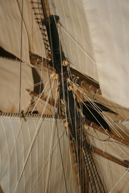 Fly detail